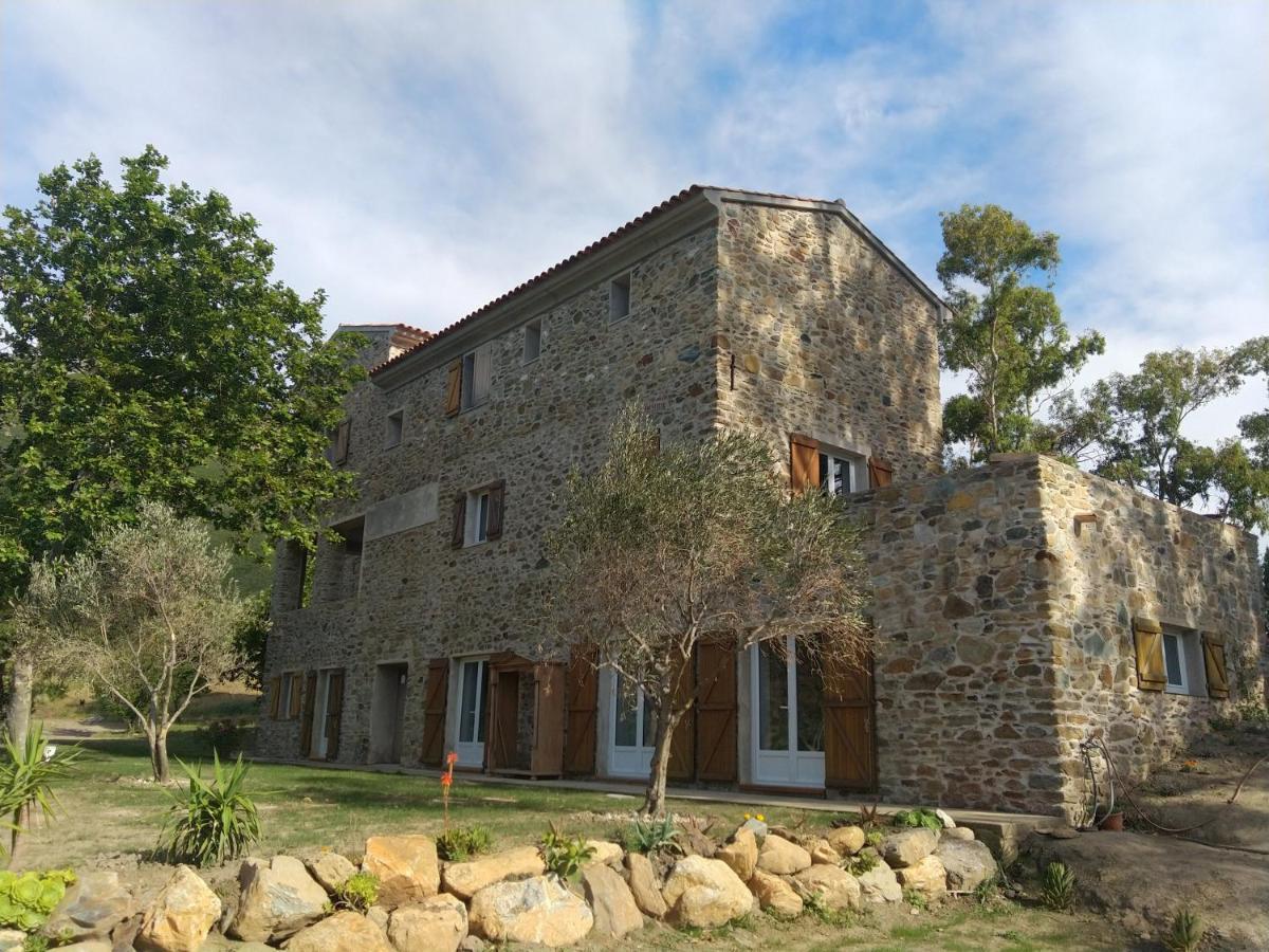 Hotel Mulinu Biancu à Poggio-d'Oletta Extérieur photo