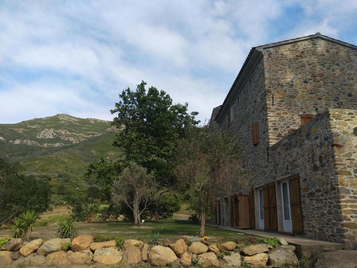 Hotel Mulinu Biancu à Poggio-d'Oletta Extérieur photo